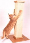 Smart Cat Scratching Post